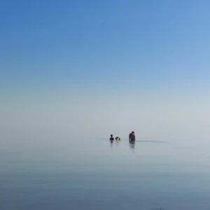 33
