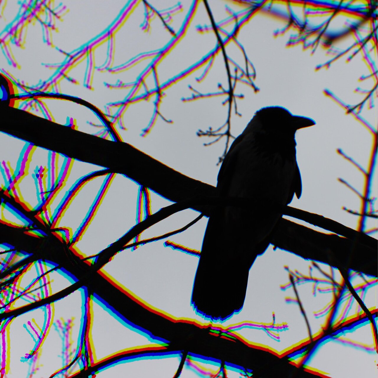 Canto Oscuro